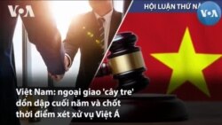 Việt Nam: ngoại giao 'cây tre' dồn dập cuối năm và chốt thời điểm xét xử vụ Việt Á